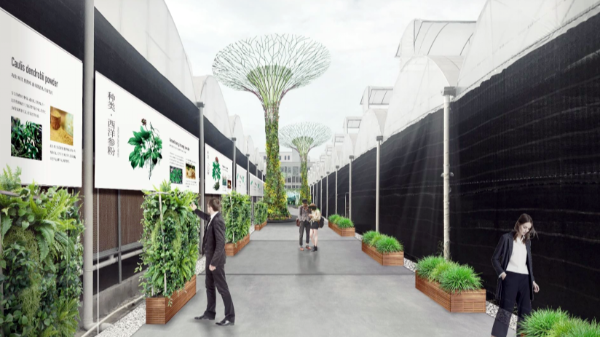 基礎(chǔ)又簡單！展館裝修不想太復(fù)雜只做這四點就夠了