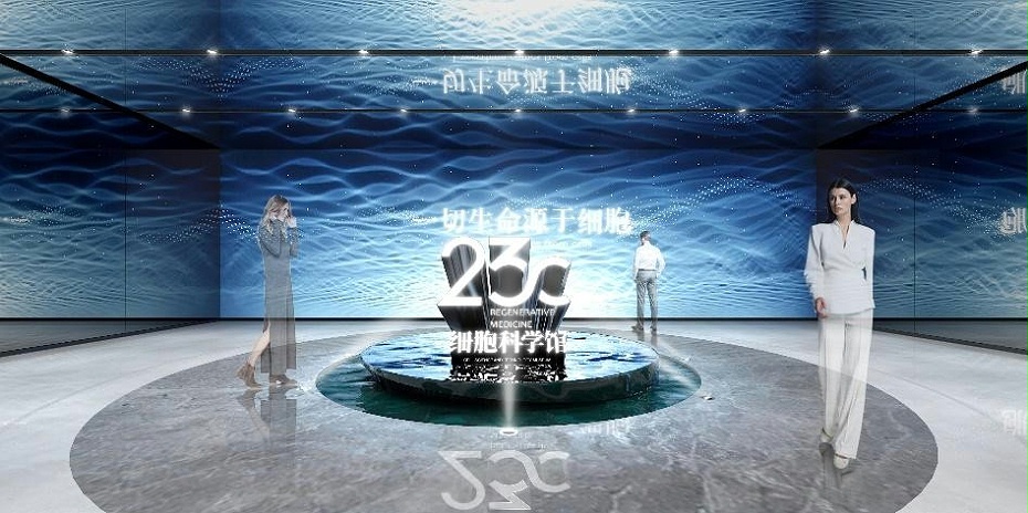 深圳的裝修設計公司