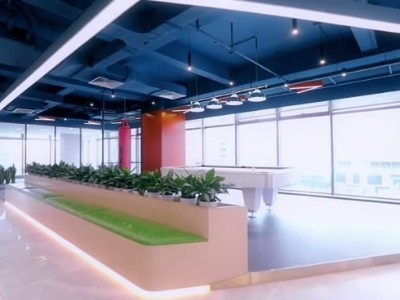 西麗辦公室員工裝修-綠植租賃案例 辦公室裝修綠植租賃