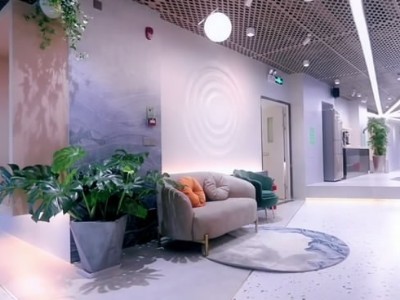 西麗辦公室員工裝修-綠植租賃案例 辦公室裝修綠植租賃