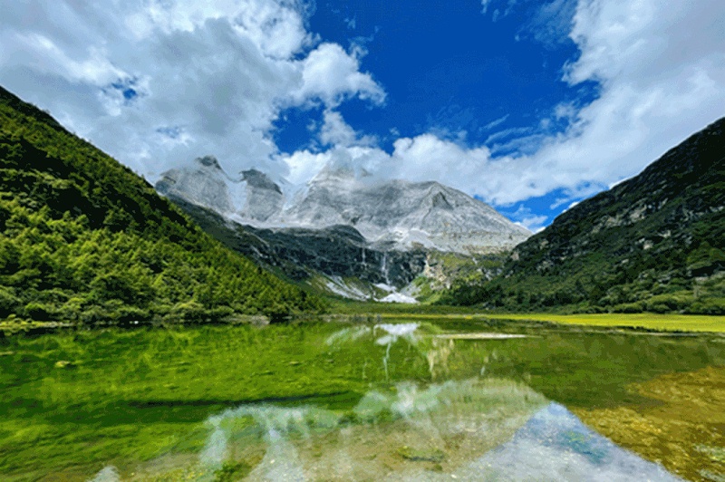 深圳文豐裝飾 深圳文豐裝飾