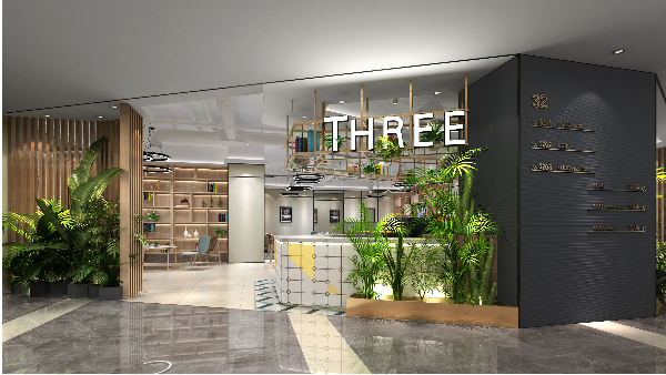 辦公室裝修設計時常用到的裝修材料有哪些？（綠植篇）